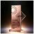 Creative  Metal Trophy