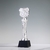 Pickleball Trophy