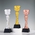 Pickleball Trophy