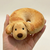 Cute dog pendant doll keychain