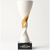 Platinum Crystal Trophy