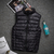 Down Vest