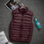 Down Vest