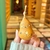 Natural Gourd Pendant