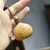 Natural Gourd Pendant