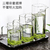 Crescent‑Filter Glass Teapot & Glass Cup Set