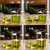 Crescent‑Filter Glass Teapot & Glass Cup Set