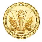 Fire Goblet Medal