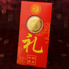 New Year Gold Coin