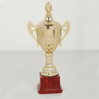 Trophy Cup