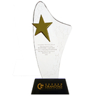 Gold Star Crystal Trophy