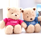 Custom LOGO Graduation Bear