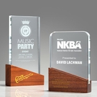 Solid Wood Cube Crystal Trophy
