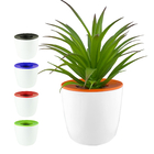 Mini Desk Plant Pot