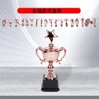 Multi style Trophy